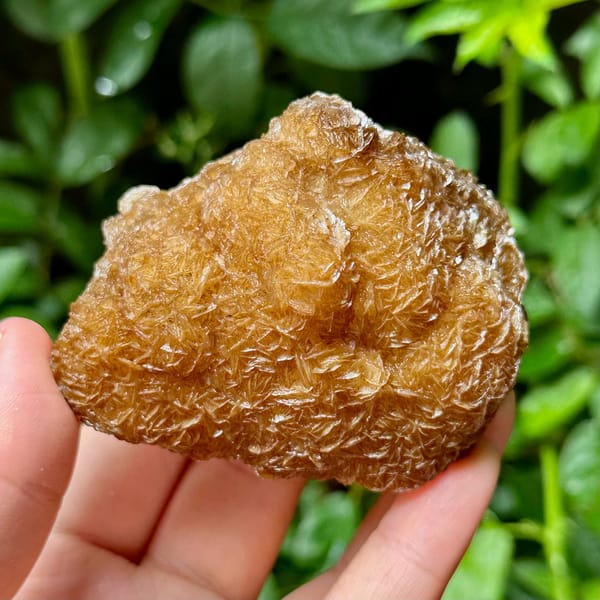 Platy calcite enclosing fluorite, from Yaogangxian Mine, Hunan, China, front view in daylight