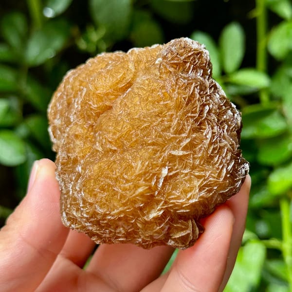 Platy calcite enclosing fluorite, from Yaogangxian Mine, Hunan, China, front view in daylight, view 3 of 10