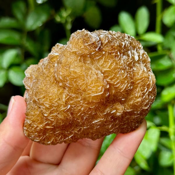 Platy calcite enclosing fluorite, from Yaogangxian Mine, Hunan, China, front view in daylight, view 5 of 10