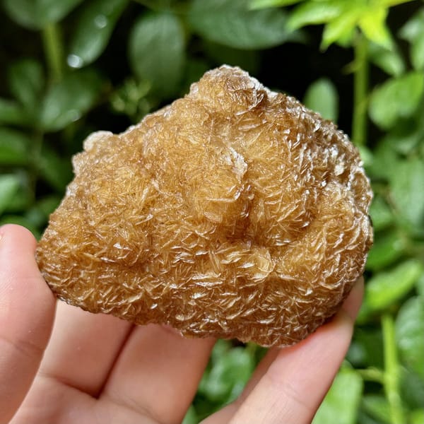 Platy calcite enclosing fluorite, from Yaogangxian Mine, Hunan, China, front view in daylight, view 7 of 10