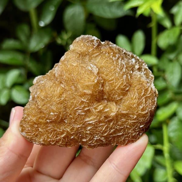 Platy calcite enclosing fluorite, from Yaogangxian Mine, Hunan, China, front view in daylight, view 9 of 10