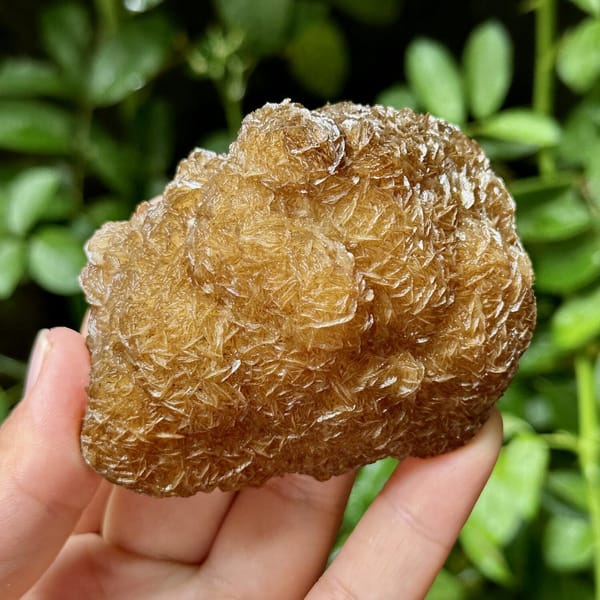 Platy calcite enclosing fluorite, from Yaogangxian Mine, Hunan, China, front view in daylight, view 10 of 10