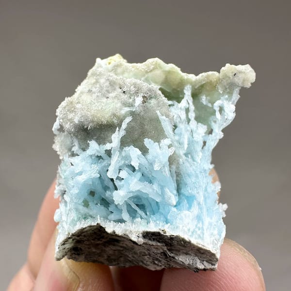 Pocket of sky-blue aragonite needles inside white druse from Yunnan, China, view 4 of 6