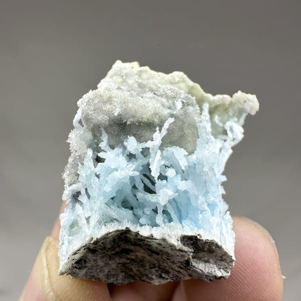 Pocket of sky-blue aragonite needles inside white druse from Yunnan, China, view 6 of 6