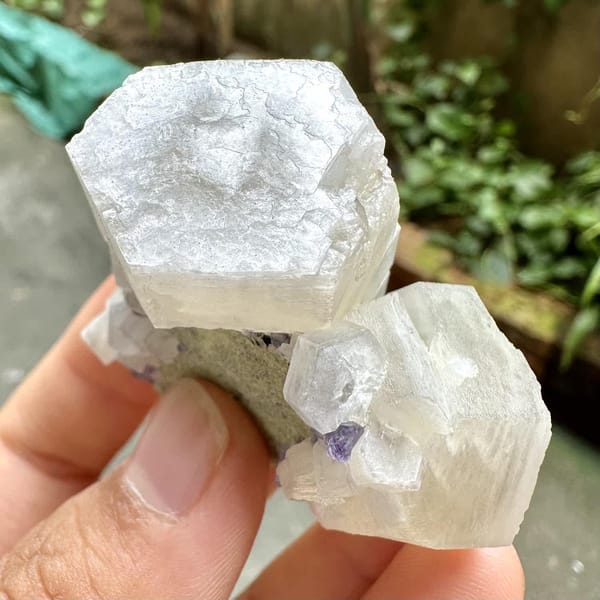 Prismatic calcite crystals, from Fujian, China, front view in daylight, view 12 of 12
