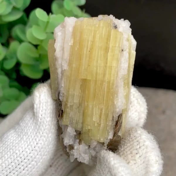 Golden-yellow prismatic topaz column on white matrix from Germany