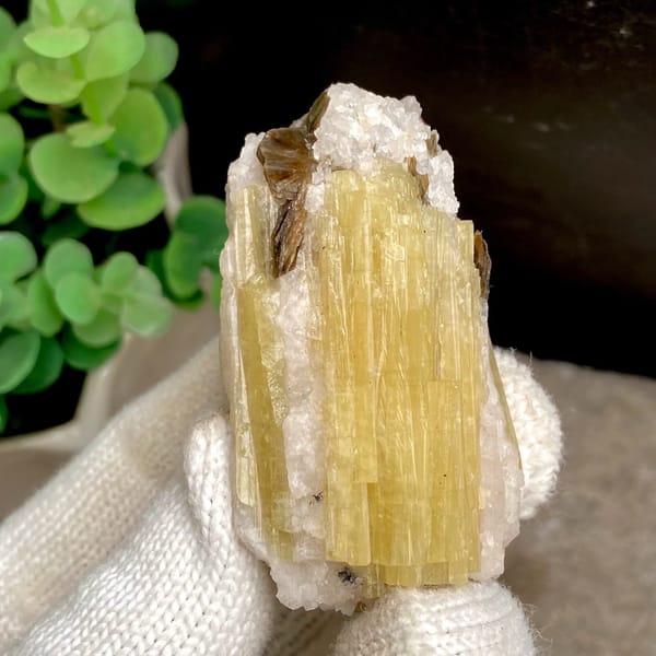 Golden-yellow prismatic topaz column on white matrix from Germany, view 5 of 9