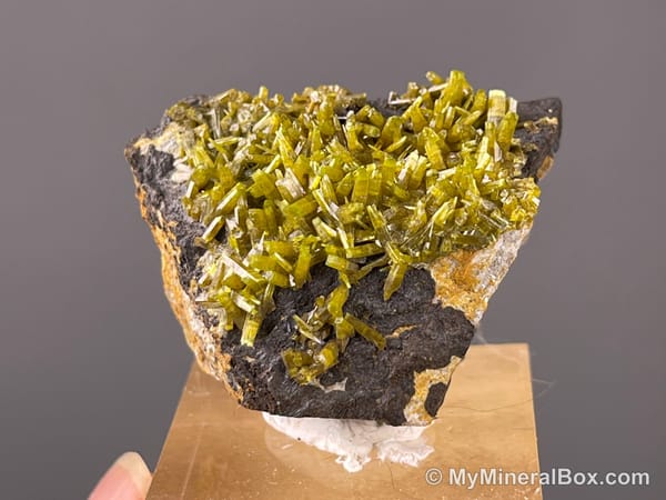 Bulk005 actual 15-piece collector mineral hand specimen set with pyromorphite, malachite, fluorite, chalcopyrite on quartz, apophyllite, cactus amethyst, calcite and Congo malachite with chrysocolla.