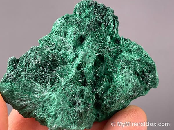 Bulk005 actual 15-piece collector mineral hand specimen set with pyromorphite, malachite, fluorite, chalcopyrite on quartz, apophyllite, cactus amethyst, calcite and Congo malachite with chrysocolla.