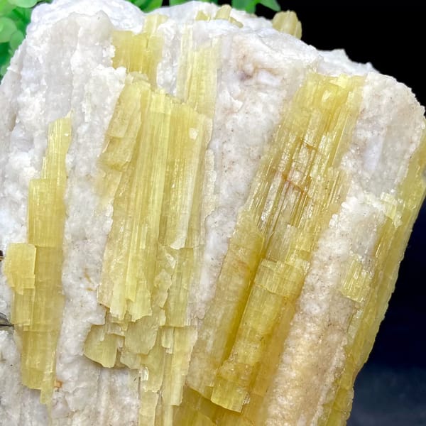 Block of golden topaz columns in white matrix from Germany, top view