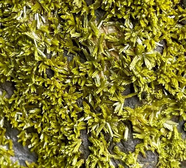 Tall slab of matcha-green pyromorphite on stand from Guangxi, China, top view