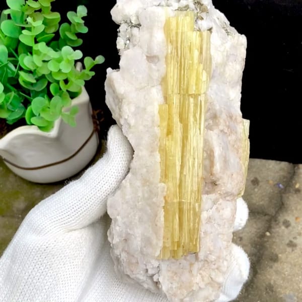 Block of golden prismatic topaz columns in white matrix from Germany, held in gloved hand