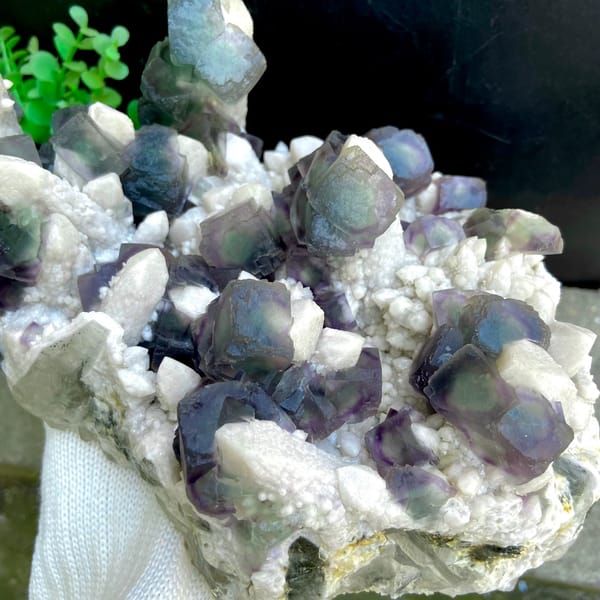 Large plate of green fluorite balls with purple edges on white quartz from Inner Mongolia, close-up of the crystal faces