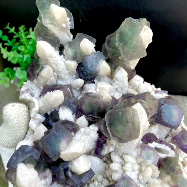 Large plate of green fluorite balls with purple edges on white quartz from Inner Mongolia, China, top view