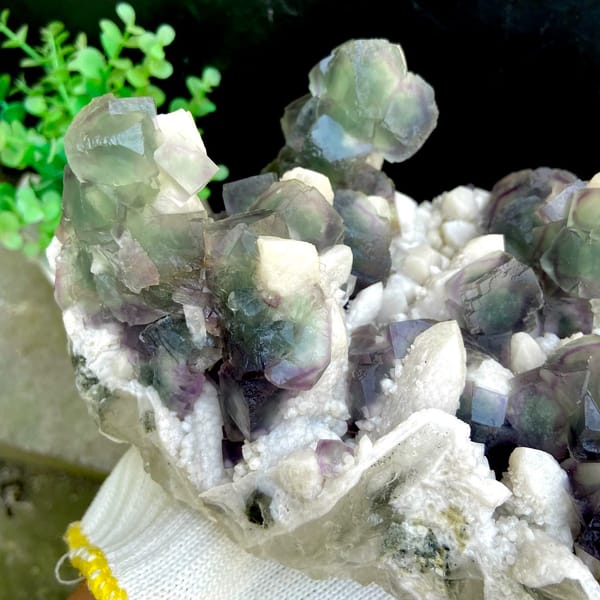 Large plate of green fluorite balls with purple edges on white quartz from Inner Mongolia, China, close-up of terminations