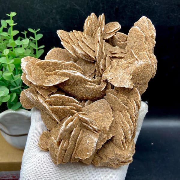 Complete left angle of the layered desert rose mineral rosettes