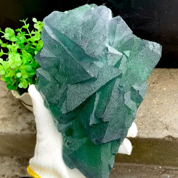 Tower of green fluorite octahedra with purple edges from Zhejiang, China, held in gloved hand