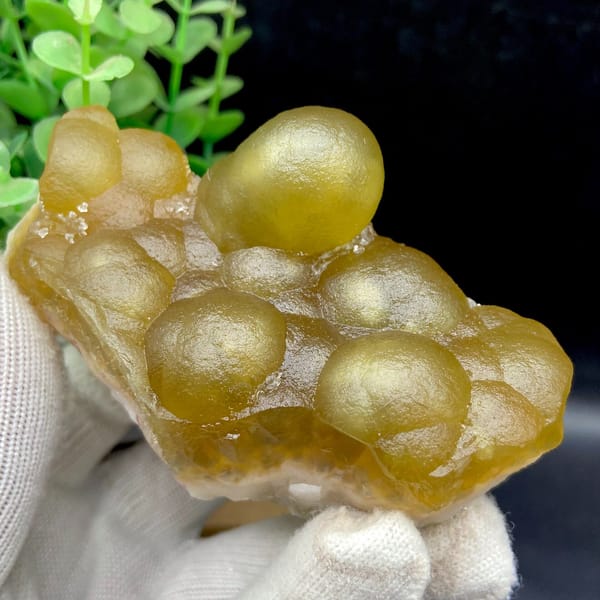 Opposite angled view showing clustered yellow fluorite lobes and pale base