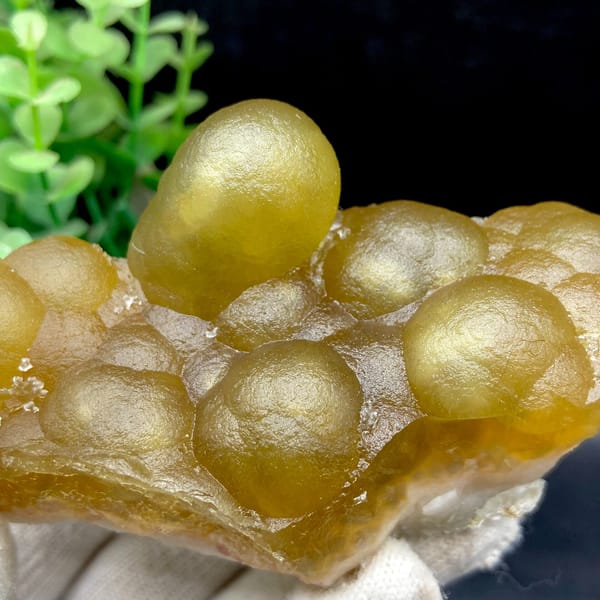 Close view of the rounded botryoidal fluorite surface and golden color