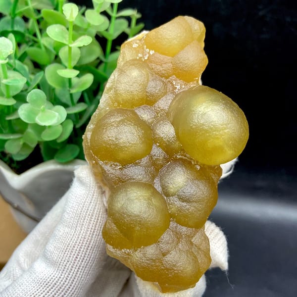 Reverse side view of rounded fluorite forms on a narrow natural base