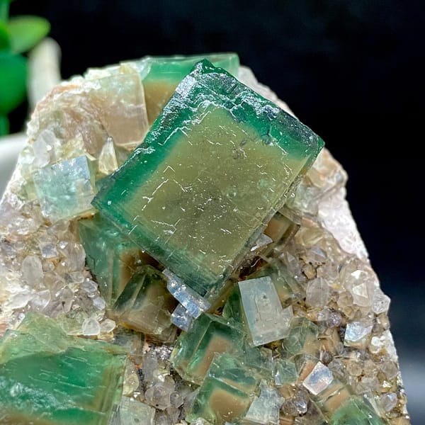 Close detail of translucent green cubic fluorite faces