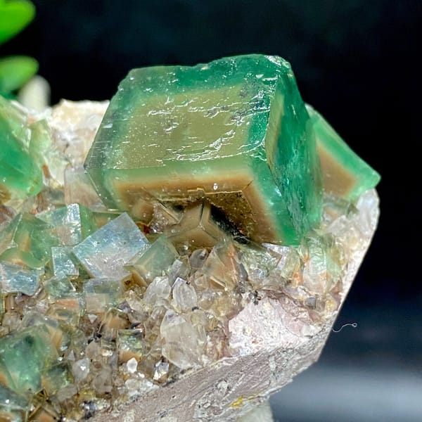 Close side profile of a green fluorite cube on natural matrix
