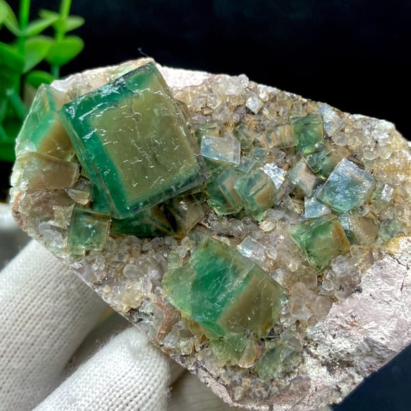 Lower angle showing smaller fluorite cubes across the pale matrix