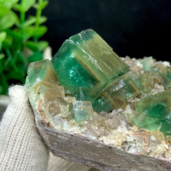 Side detail of stepped green fluorite crystal edges