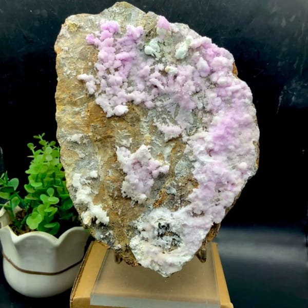 Large plate of pink aragonite crusts on tan rock from Yunnan, China, held in gloved hand
