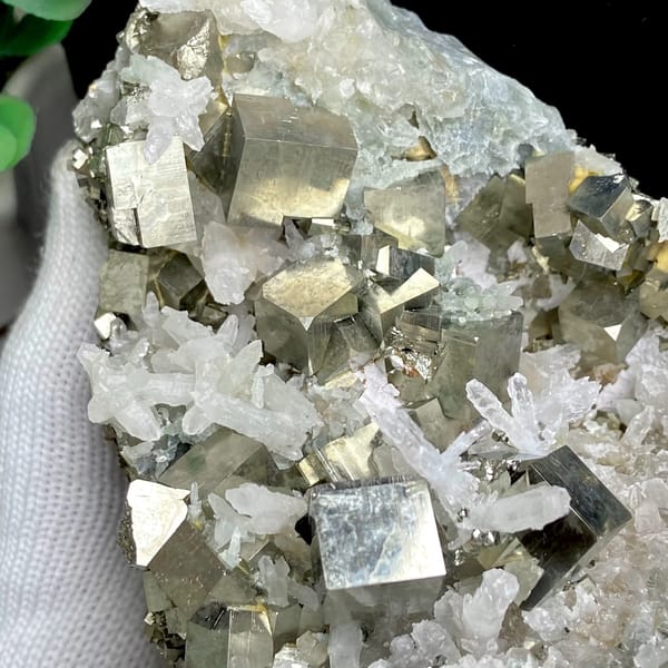 Large cluster of pyrite cubes and white quartz from Hunan, China, reverse side