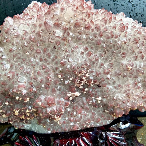 Fan of red-skinned quartz points with dolomite on stand from Jiangxi, China, second angle