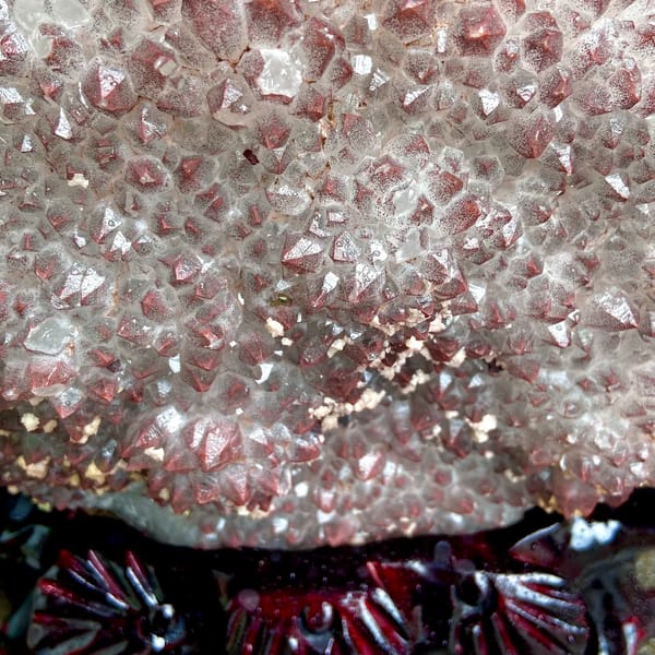 Fan of red-skinned quartz points with dolomite on stand from Jiangxi, China, top view