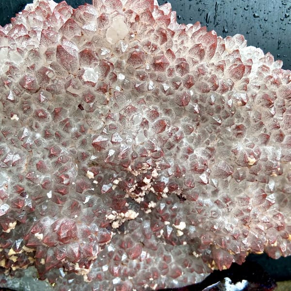 Fan of red-skinned quartz points with dolomite on stand from Jiangxi, China, side view