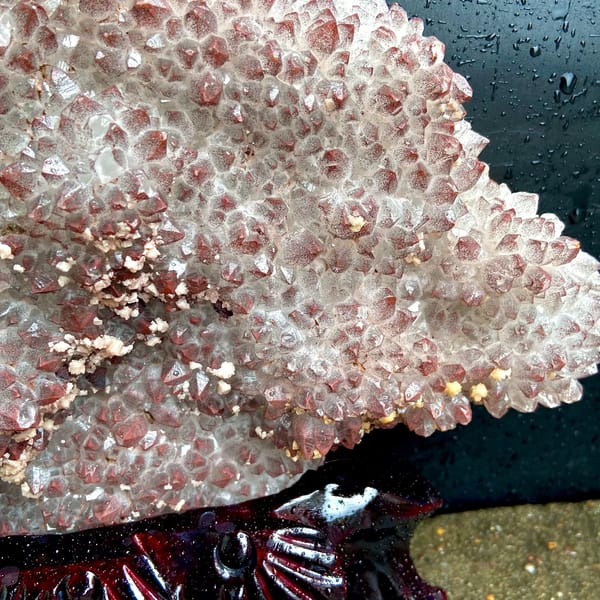 Fan of red-skinned quartz points with dolomite on stand from Jiangxi, China, close-up of terminations