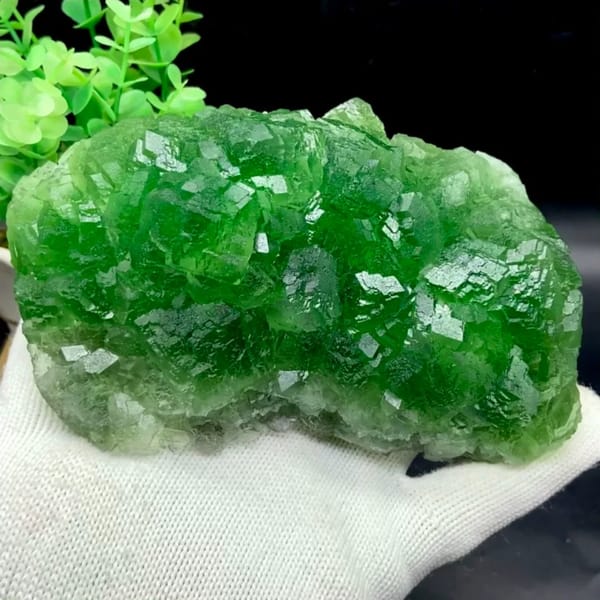 Dome of transparent emperor-green fluorite cubes from Zhejiang, China, held in gloved hand
