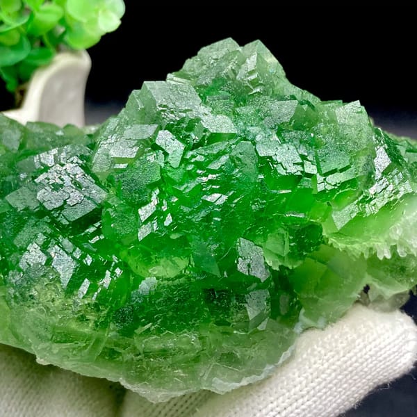 Dome of transparent emperor-green fluorite cubes from Zhejiang, China, top view