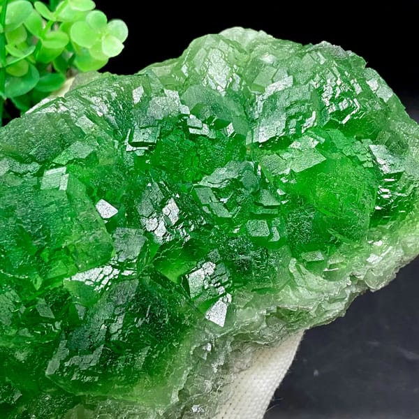 Dome of transparent emperor-green fluorite cubes from Zhejiang, China, detail of the matrix contact