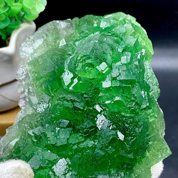 Dome of transparent emperor-green fluorite cubes from Zhejiang, China, side view