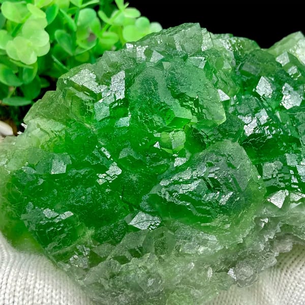Dome of transparent emperor-green fluorite cubes from Zhejiang, China, close-up of terminations