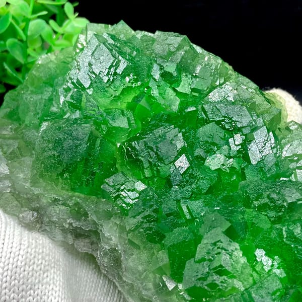 Dome of transparent emperor-green fluorite cubes from Zhejiang, China, overall view