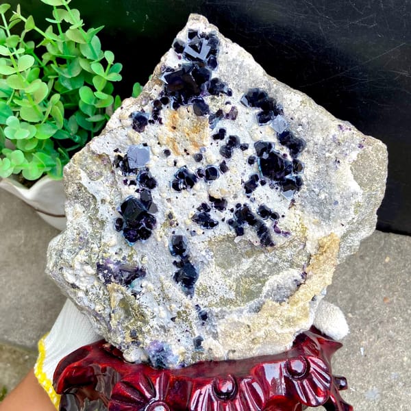 Plate of purple-cored window fluorite on stand from Inner Mongolia, China, second angle
