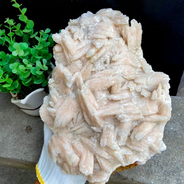Large plate of pale pink feather calcite blades from Guizhou, China, second angle