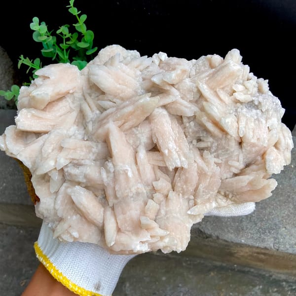 Large plate of pale pink feather calcite blades from Guizhou, China, close-up of the crystal faces