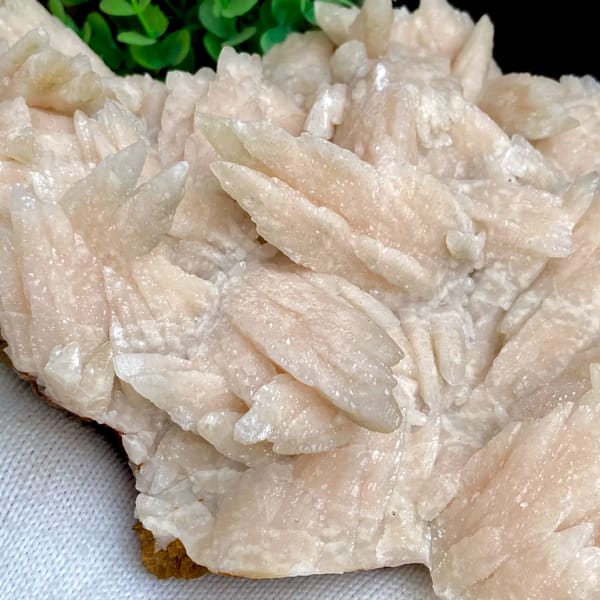 Large plate of pale pink feather calcite blades from Guizhou, China, reverse side