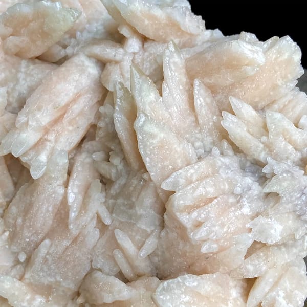 Large plate of pale pink feather calcite blades from Guizhou, China, top view