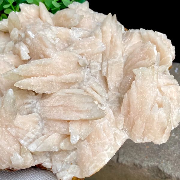 Large plate of pale pink feather calcite blades from Guizhou, China, detail of the matrix contact