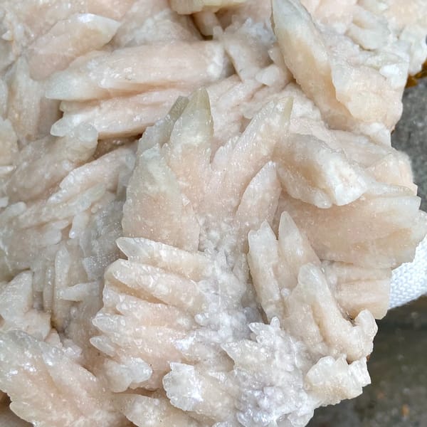 Large plate of pale pink feather calcite blades from Guizhou, China, side view