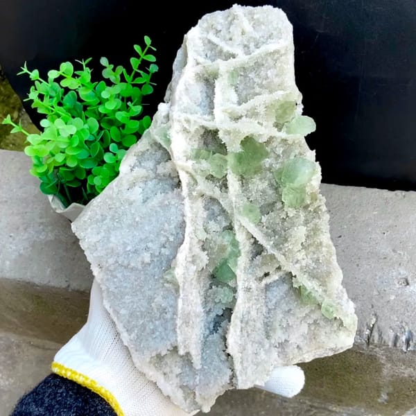 Large plate of pale green stepped fluorite over quartz from Fujian, China, held in gloved hand