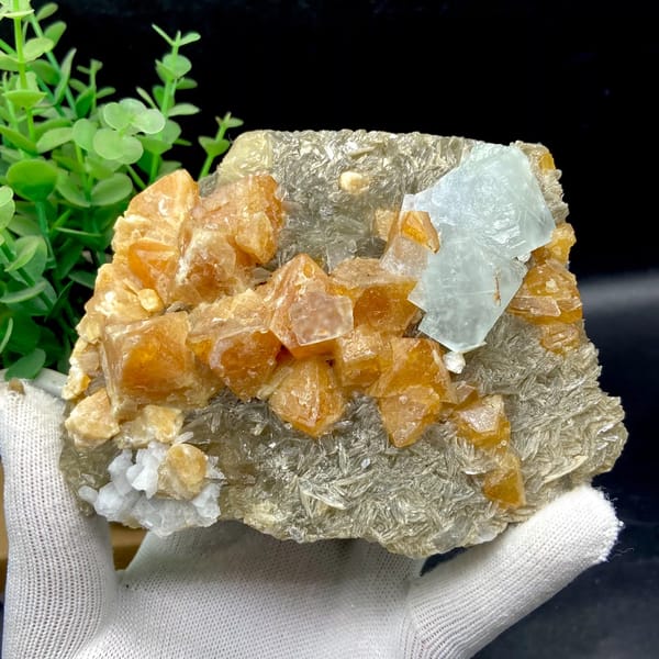 Orange scheelite crystals with pale blue fluorite on mica from Xuebaoding, Sichuan, China, second angle