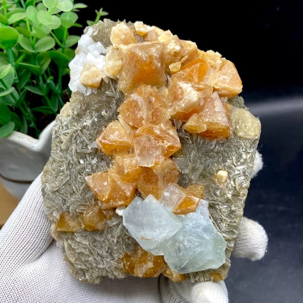 Orange scheelite crystals with pale blue fluorite on mica from Xuebaoding, Sichuan, China, close-up of the crystal faces